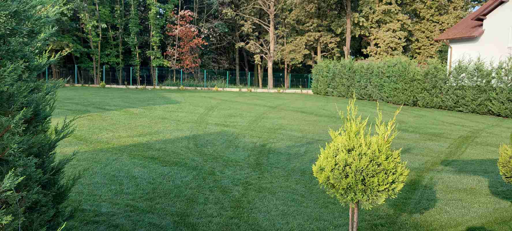 HIDROGARDEN - REALIZARE GRADINA PITESTI - 02