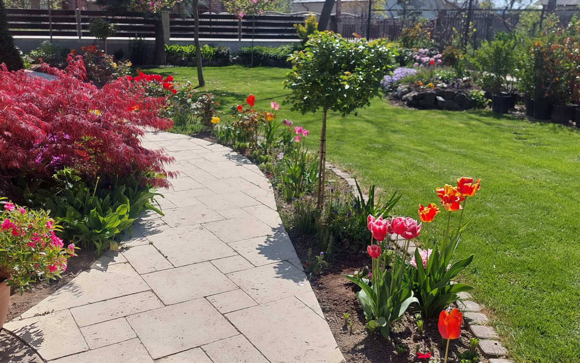 Hidrogarden - Amenajare gradini si spatii verzi