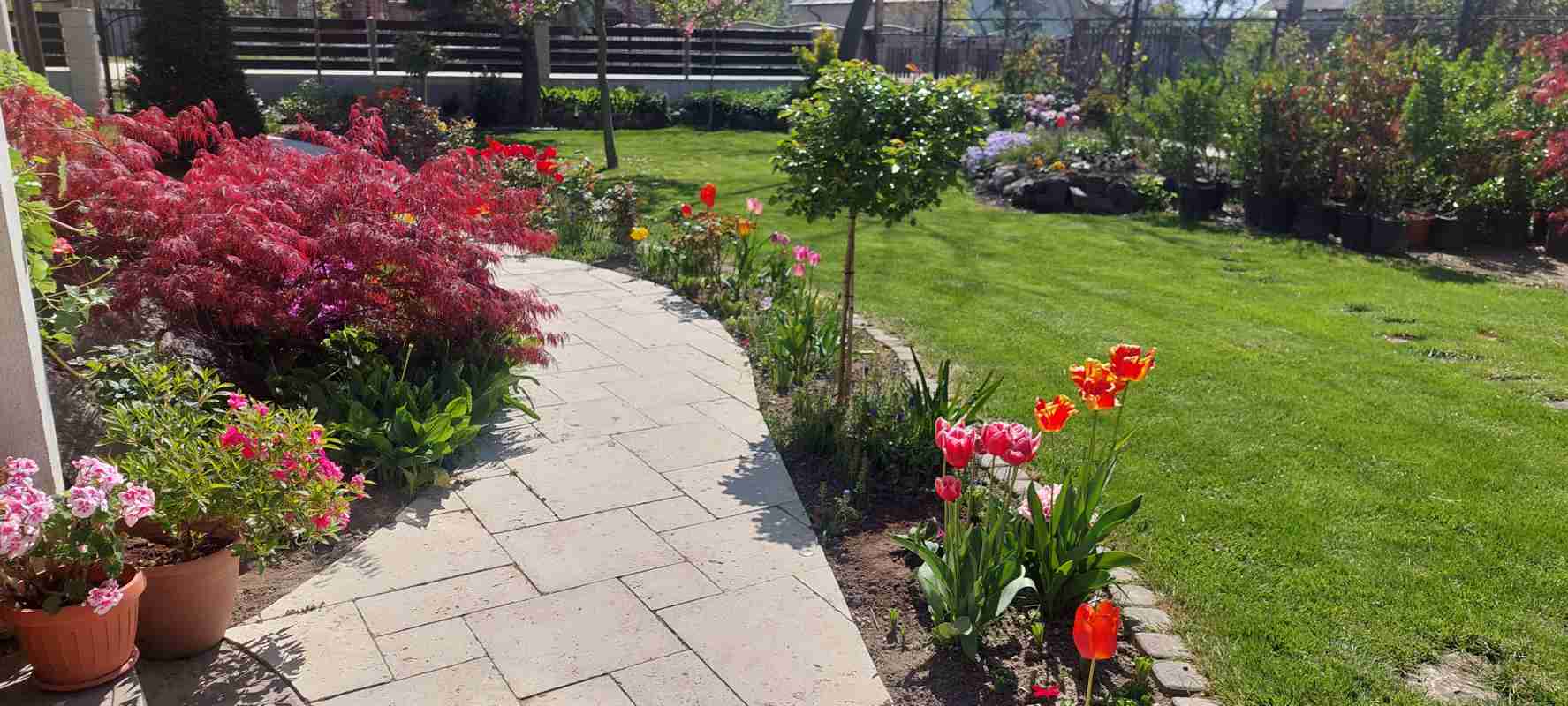 Hidrogarden - Intretinere gradini si spatii verzi - 2