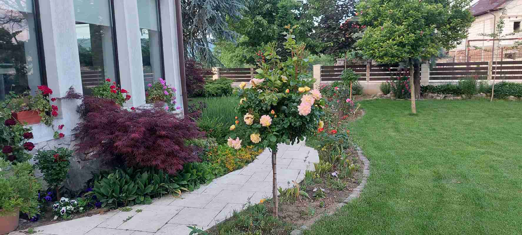 Hidrogarden - Intretinere gradini si spatii verzi - 2