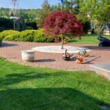 Realizare Gradina Pitesti