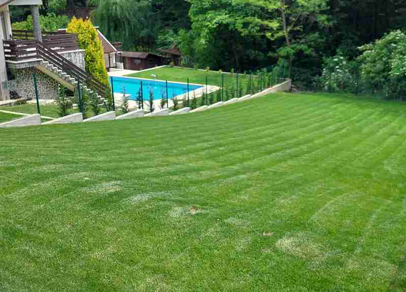 Hidrogarden - despre Hidrogarden