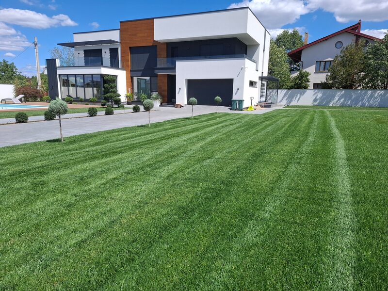 Proiect Amenajare Spațiu Verde – Mioveni-Argeș 08